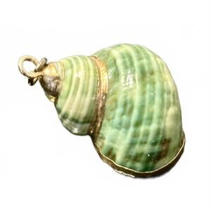 Gold-Plated Sea Snail Shell Pendant – Real Shell Beauty